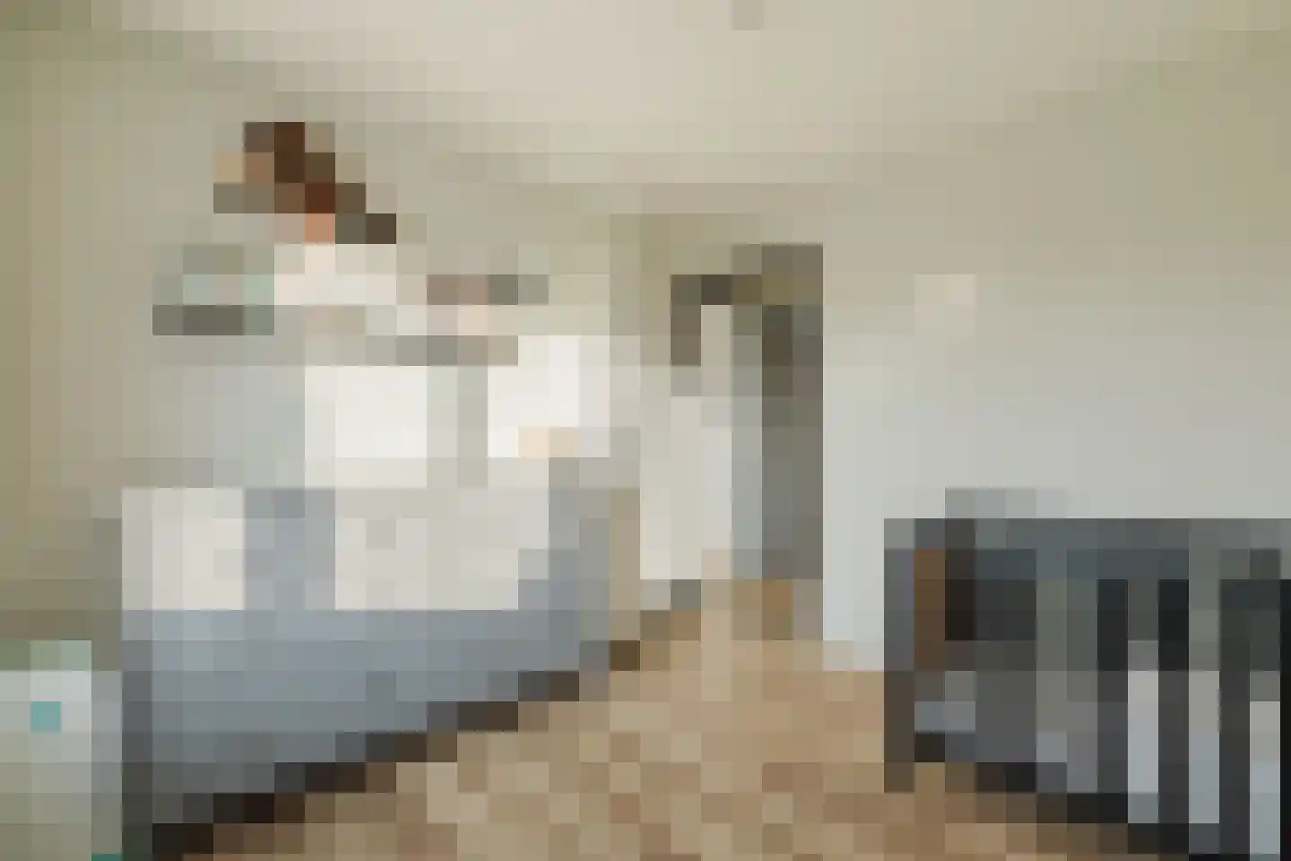 Laan van Tongerlo 34 Alphen thumbnail 30