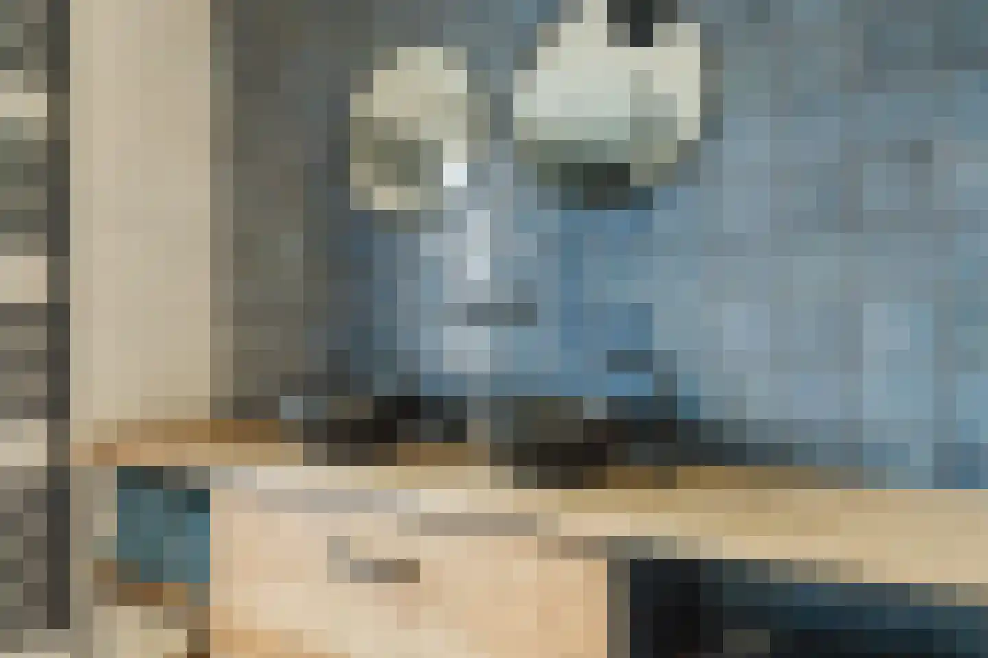 Laan van Tongerlo 34 Alphen thumbnail 33