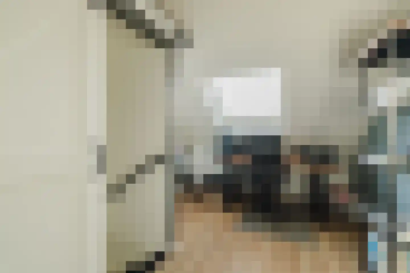 Laan van Tongerlo 34 Alphen thumbnail 37