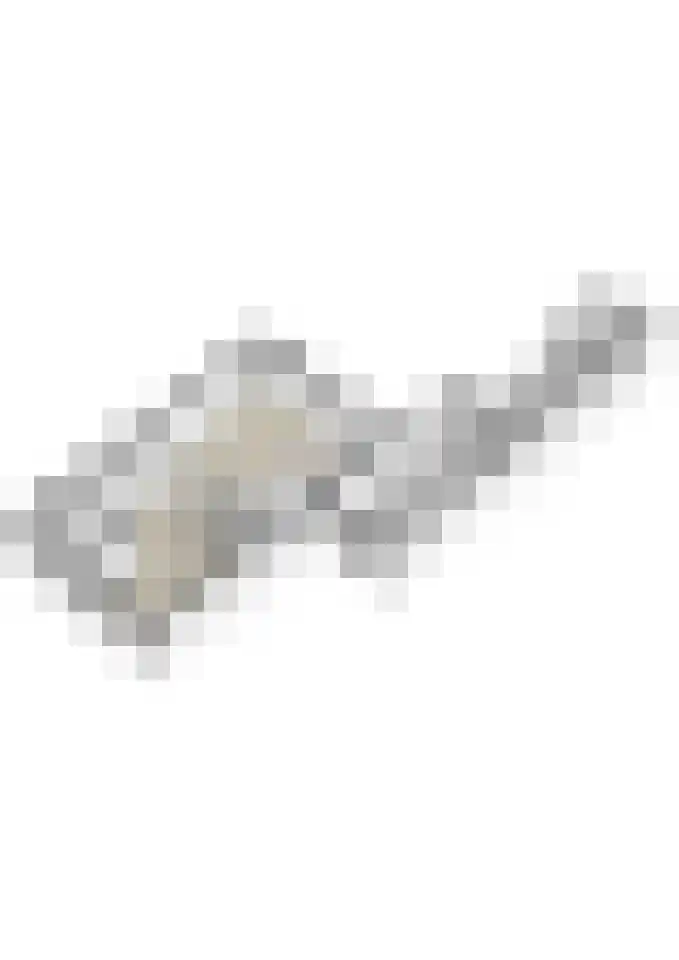 Laan van Tongerlo 34 Alphen thumbnail 50