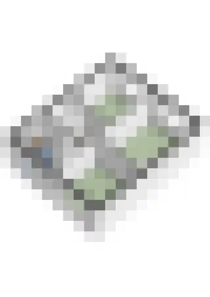 Laan van Tongerlo 34 Alphen thumbnail 52