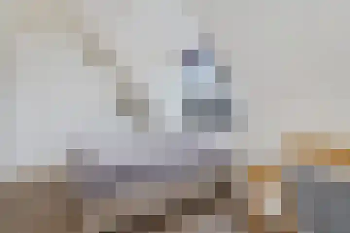Laan van Tudor 267 Hoofddorp thumbnail 26