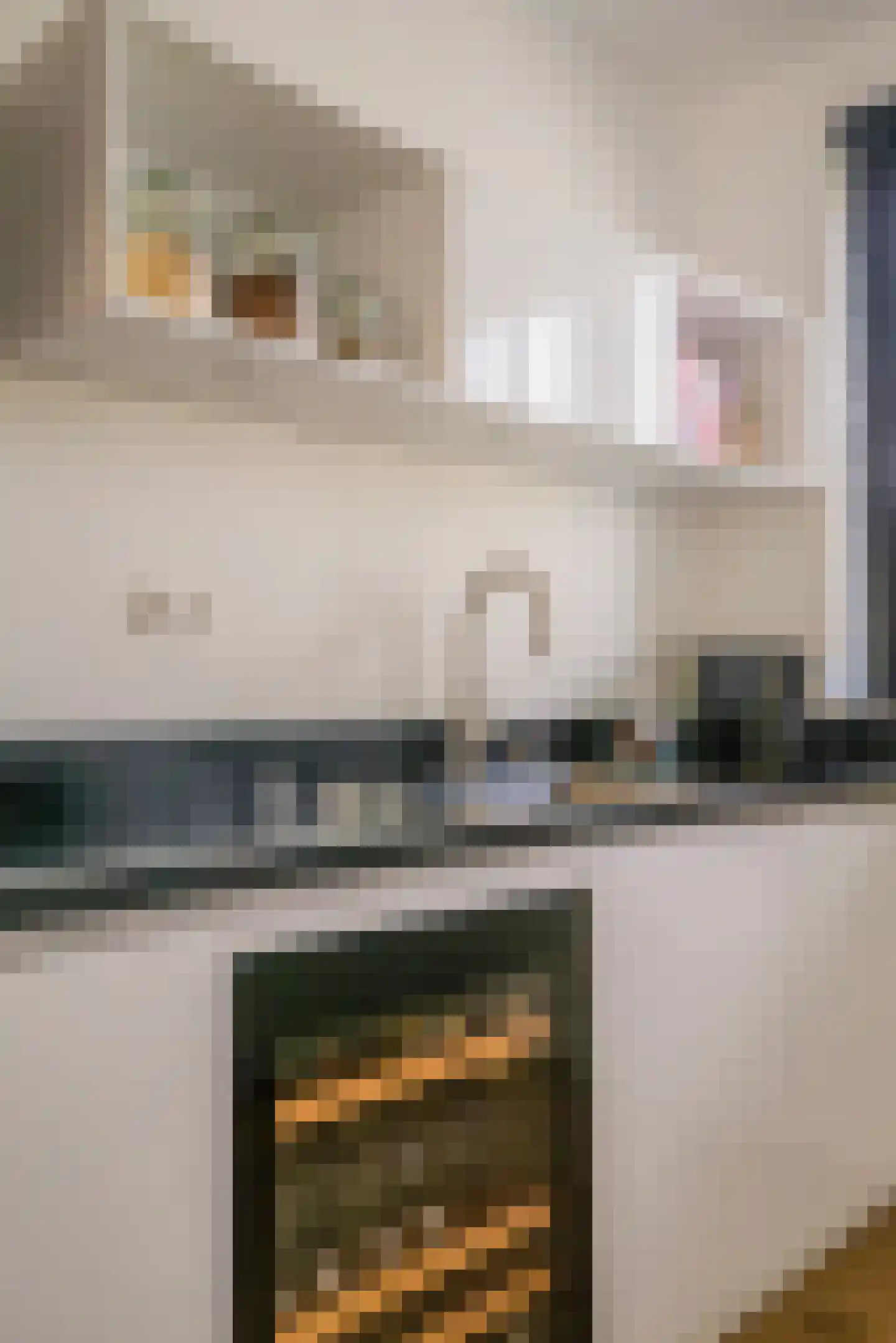Laan van Tudor 273 Hoofddorp thumbnail 12
