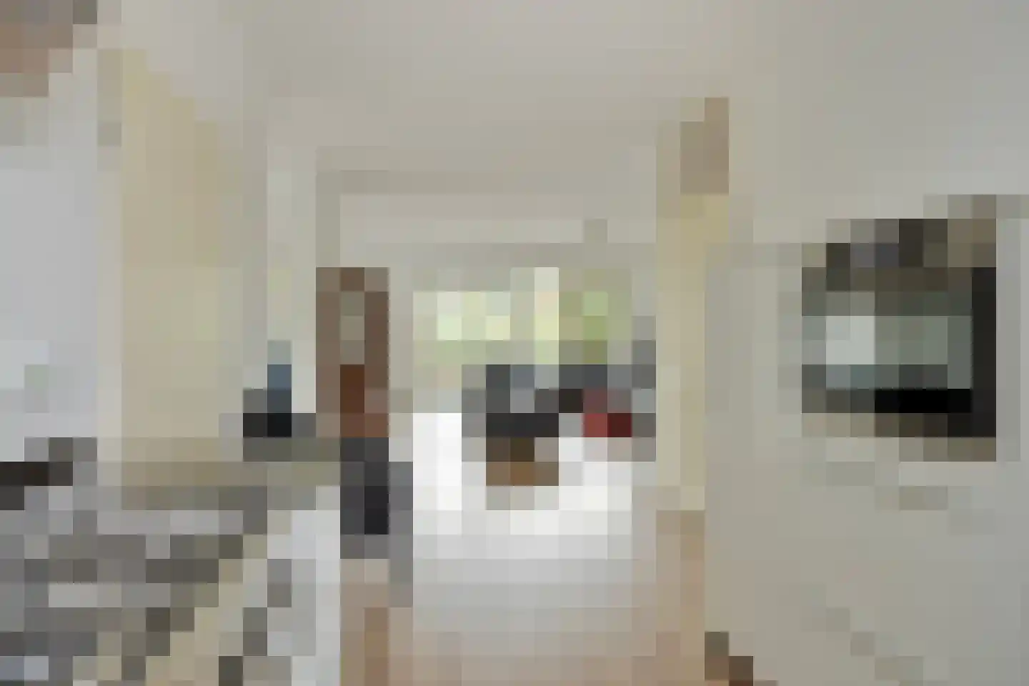 Laan van Turkenburg 23 Bodegraven thumbnail 11