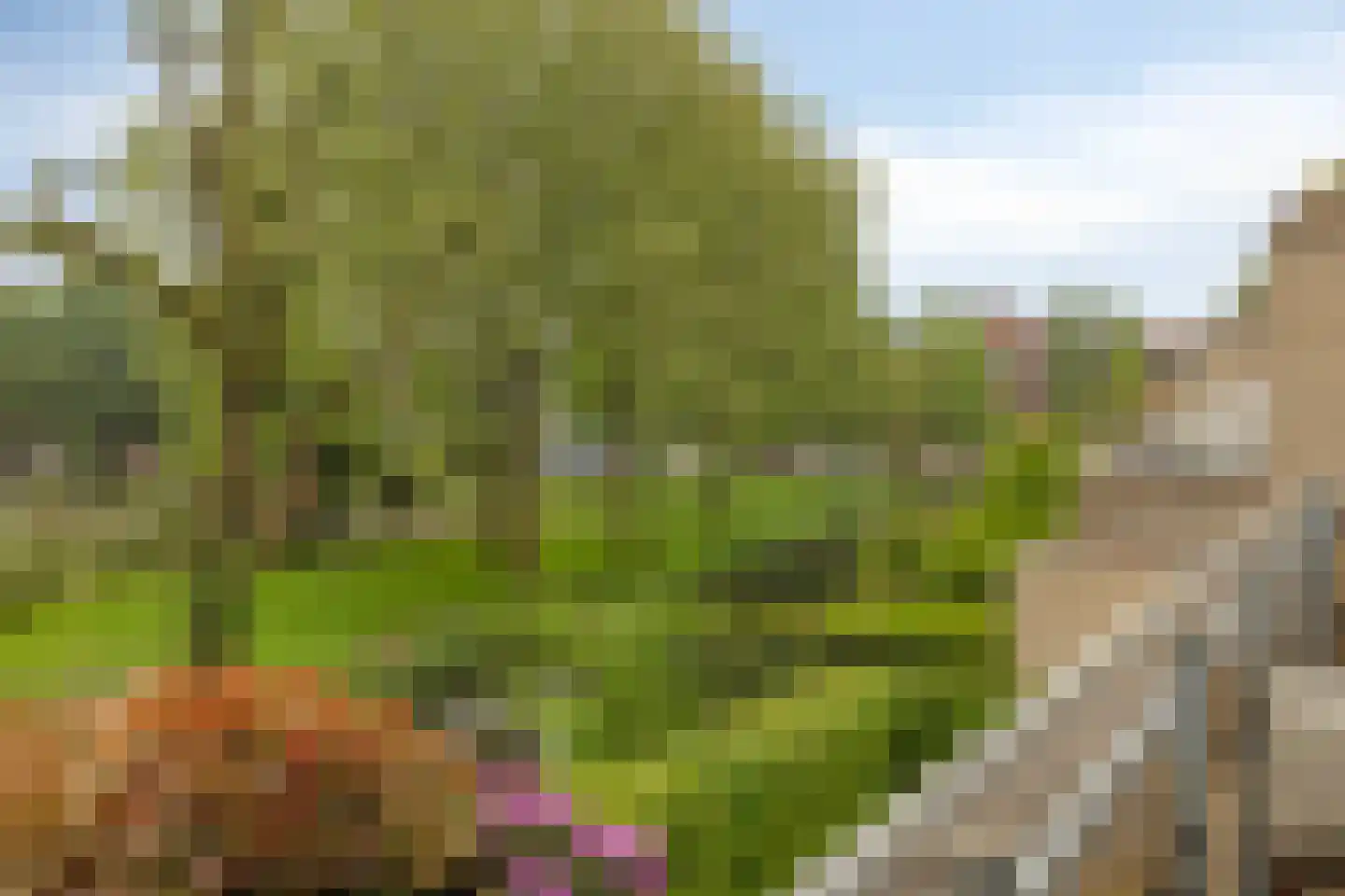 Laan van Turkenburg 23 Bodegraven thumbnail 24
