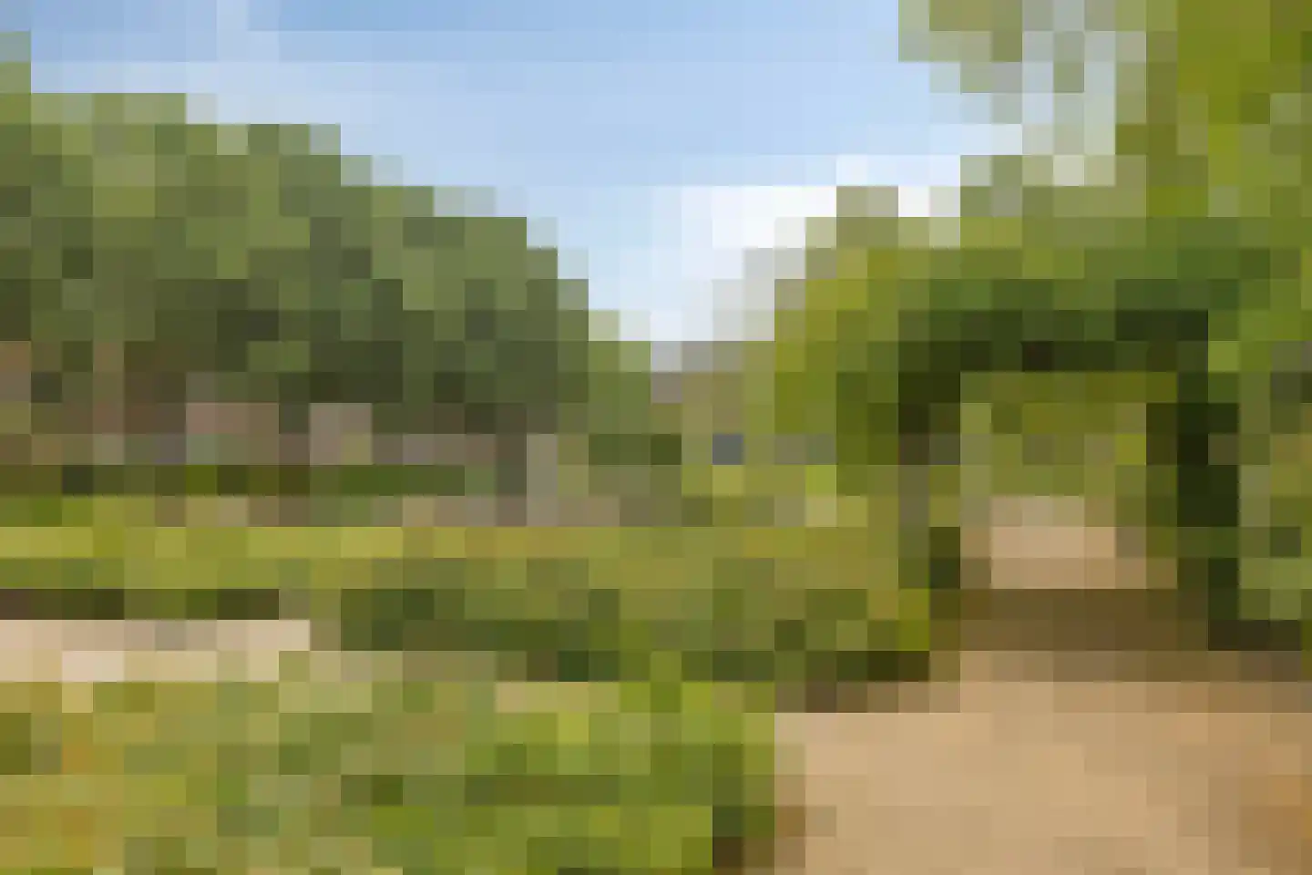 Laan van Turkenburg 23 Bodegraven thumbnail 36