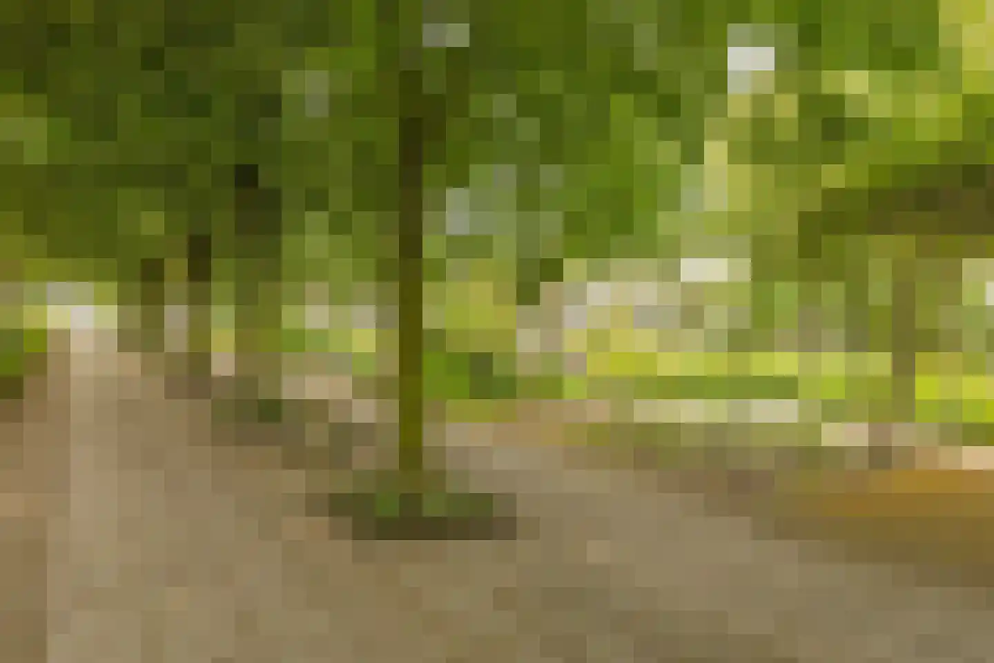 Laan van Turkenburg 23 Bodegraven thumbnail 37