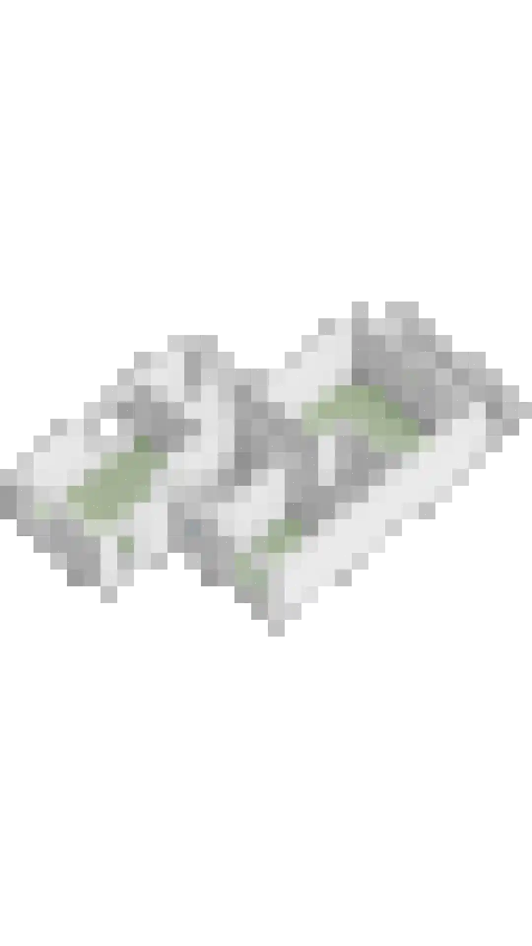 Laan van Turkenburg 23 Bodegraven thumbnail 42