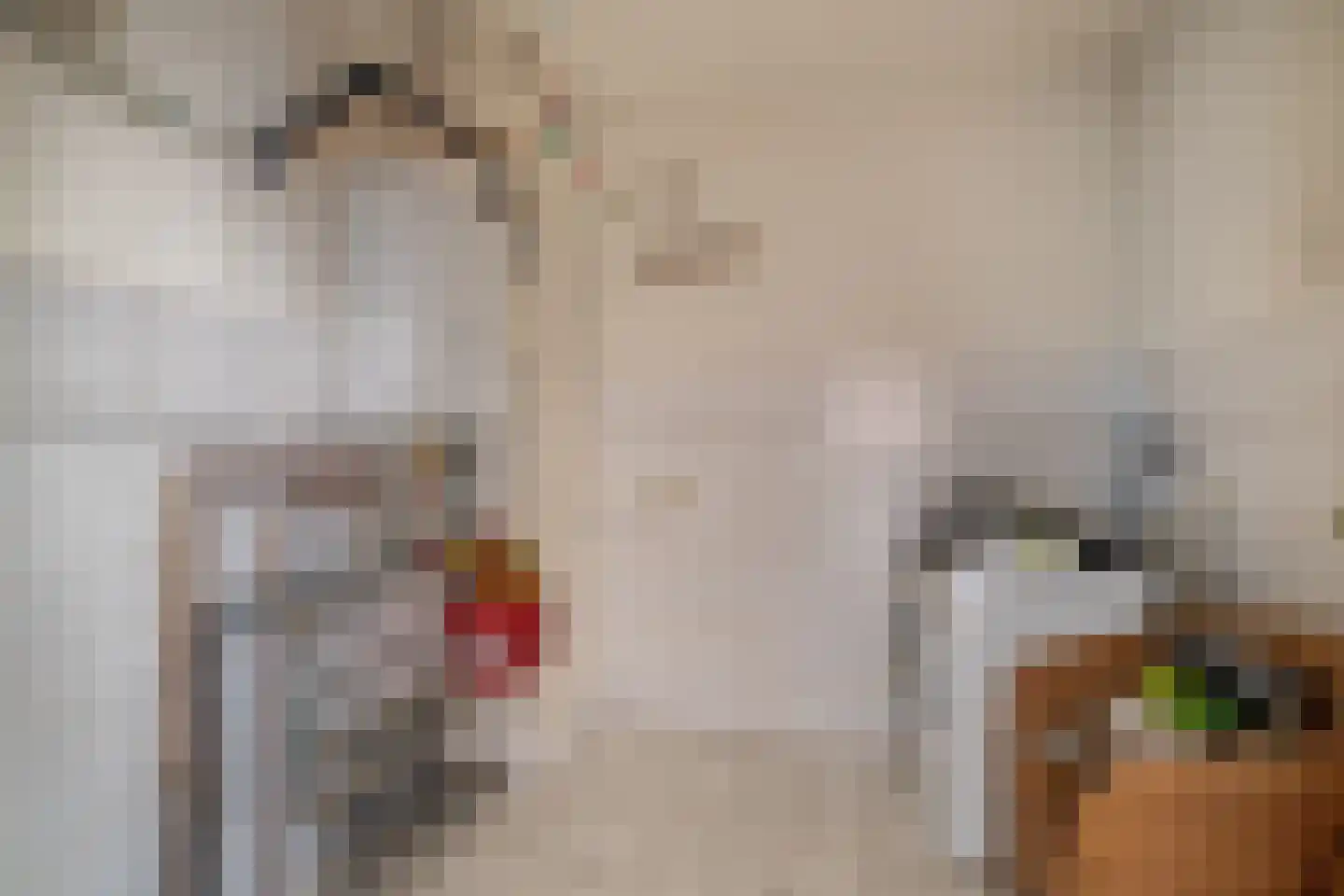 Laan van Turkenburg 33 Bodegraven thumbnail 30