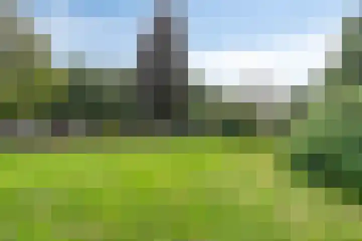 Laan van Turkenburg 51 Bodegraven thumbnail 29