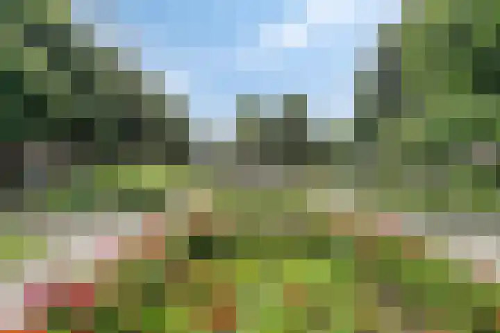 Laan van Turkenburg 51 Bodegraven thumbnail 30