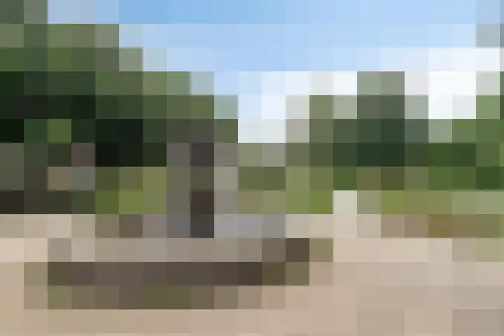Laan van Turkenburg 51 Bodegraven thumbnail 31