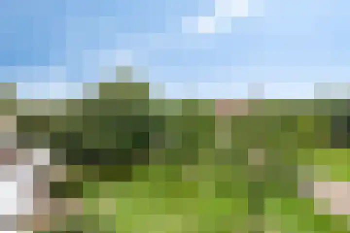 Laan van Turkenburg 51 Bodegraven thumbnail 7