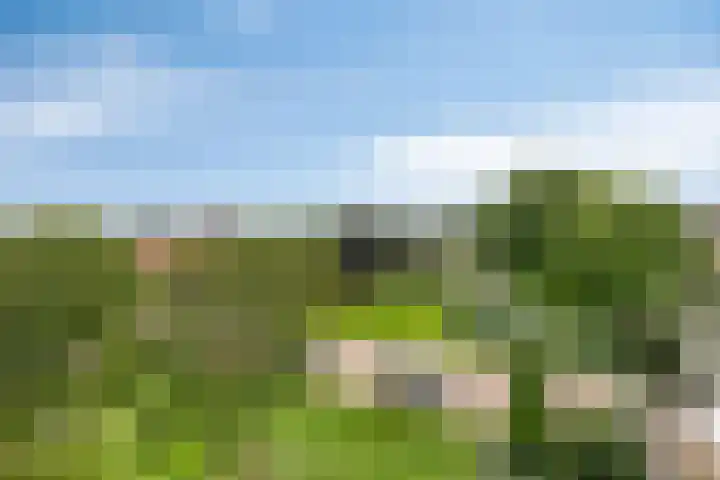 Laan van Turkenburg 51 Bodegraven thumbnail 8