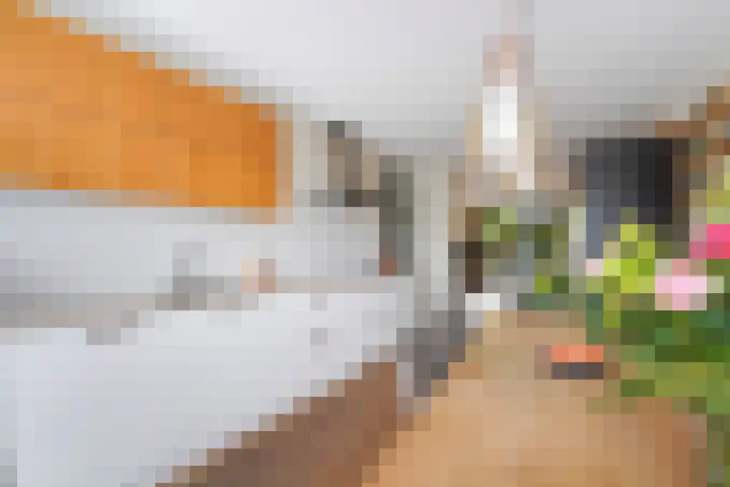 Laan van Van der Gaag 22 Delft thumbnail 16