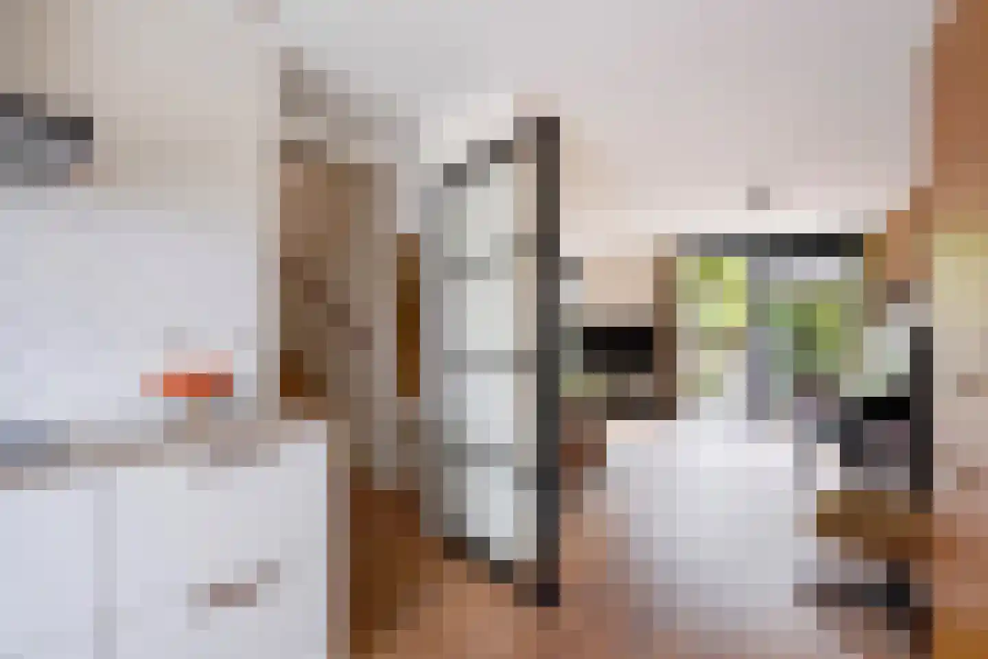 Laan van Van der Gaag 22 Delft thumbnail 17