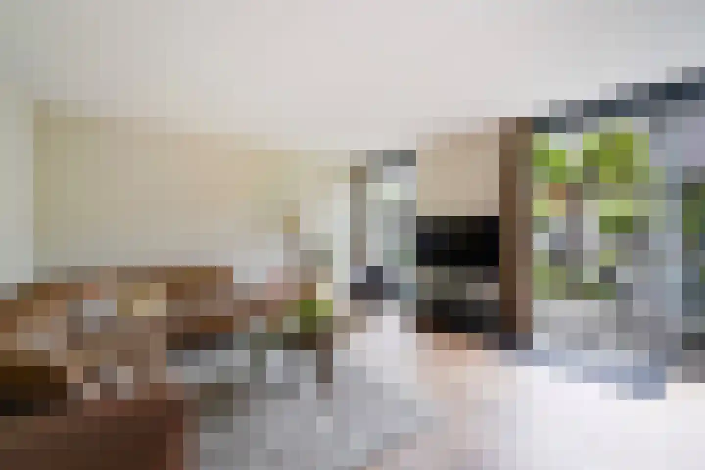 Laan van Van der Gaag 22 Delft thumbnail 18