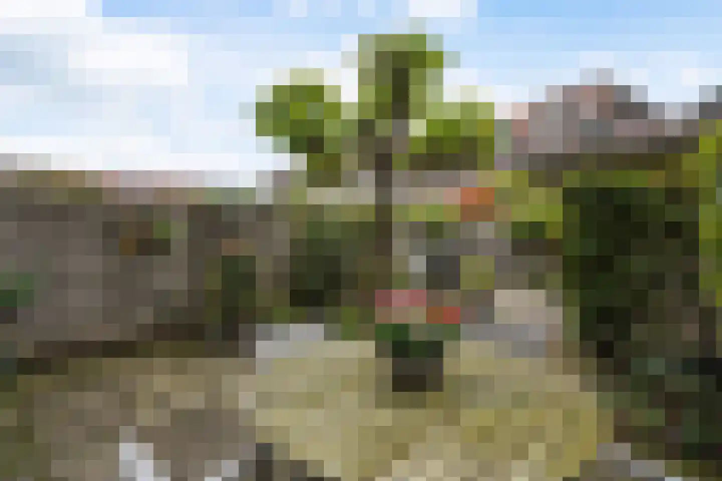Laan van Van der Gaag 22 Delft thumbnail 19