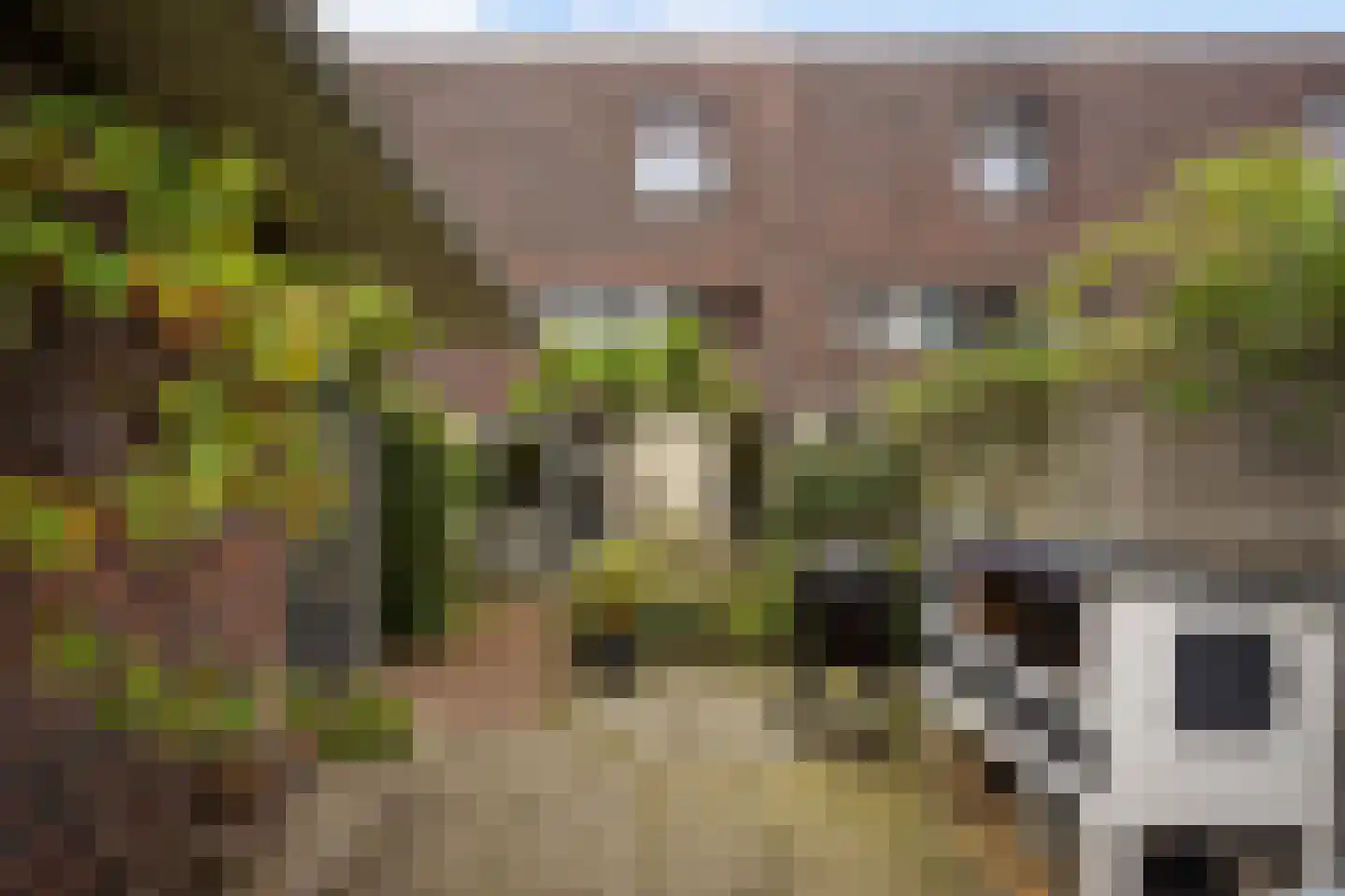 Laan van Van der Gaag 22 Delft foto 2