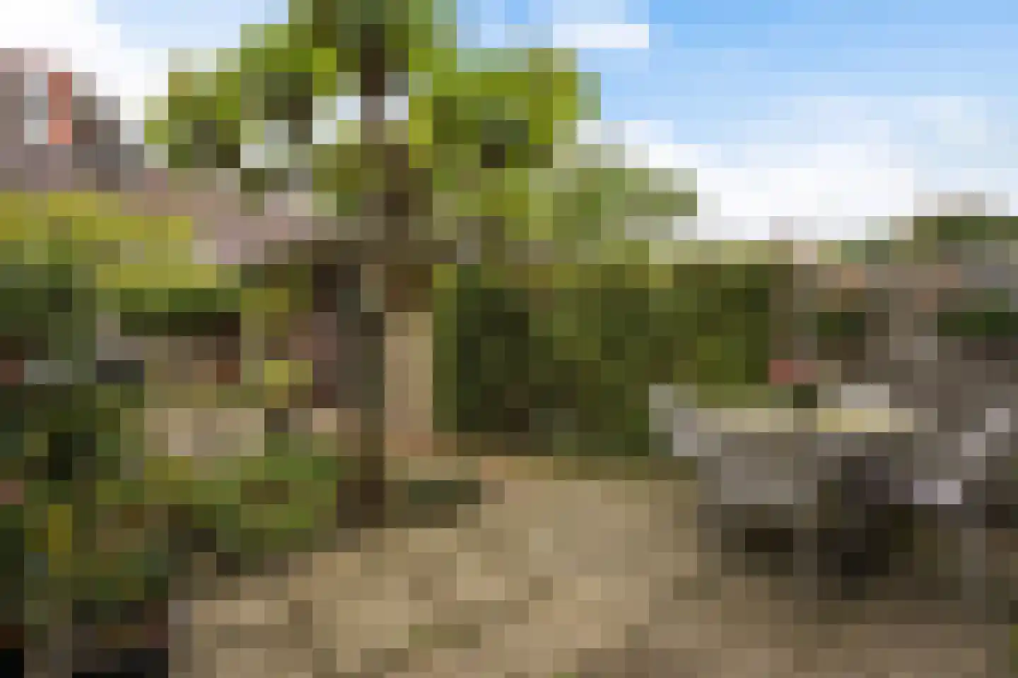 Laan van Van der Gaag 22 Delft thumbnail 21