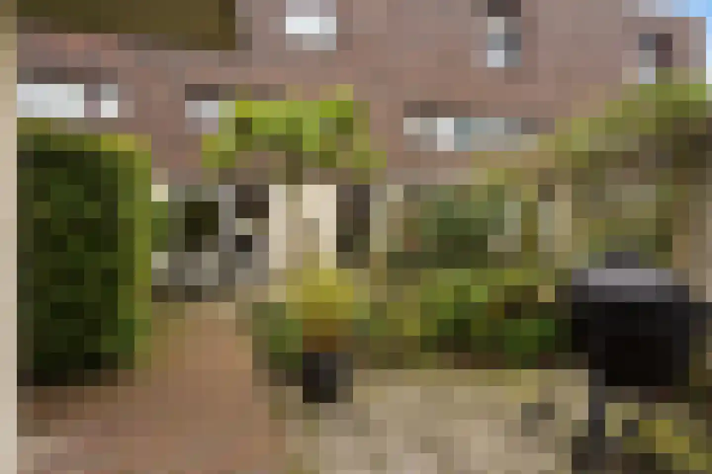 Laan van Van der Gaag 22 Delft thumbnail 24