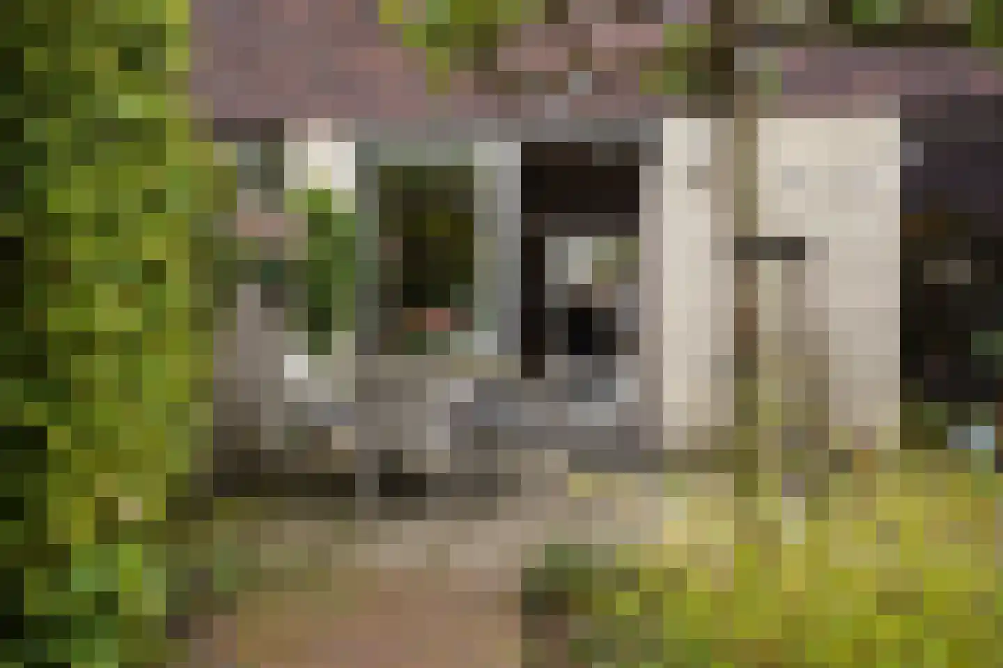 Laan van Van der Gaag 22 Delft thumbnail 25
