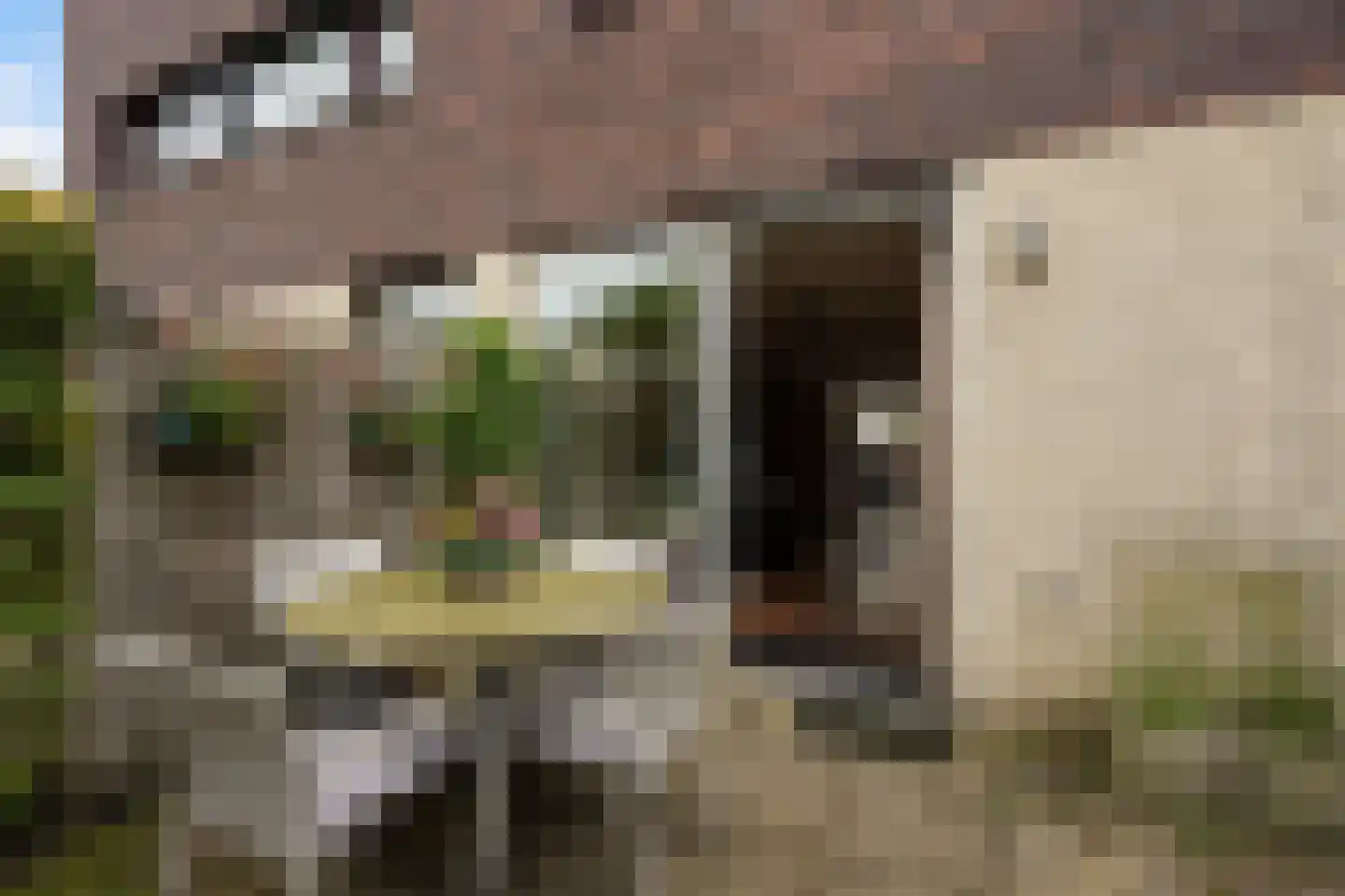Laan van Van der Gaag 22 Delft thumbnail 26