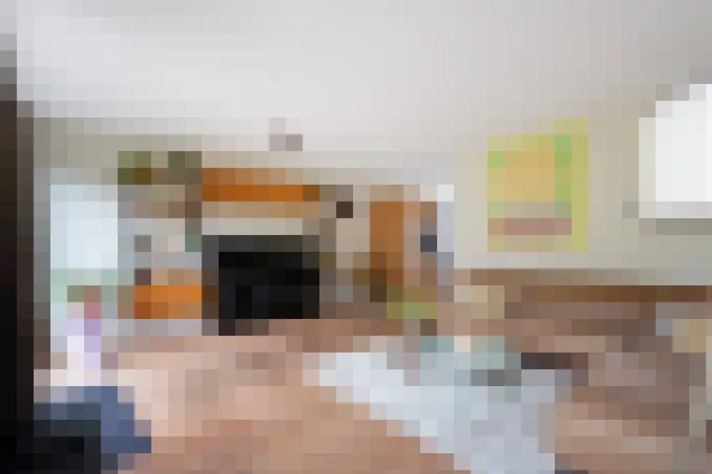 Laan van Van der Gaag 22 Delft thumbnail 4