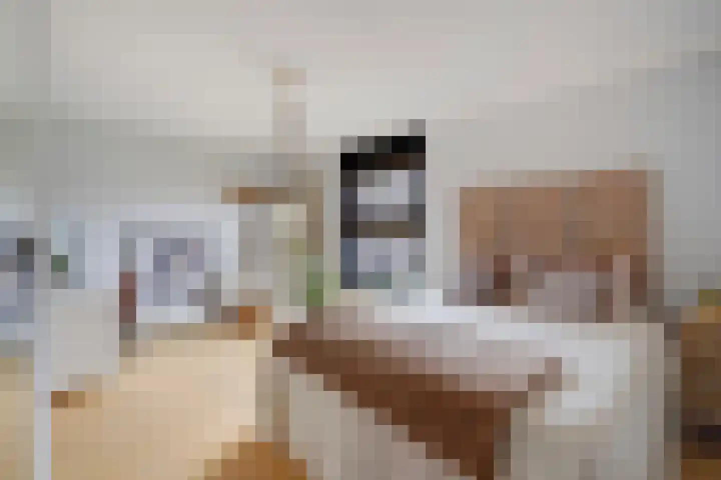 Laan van Van der Gaag 22 Delft thumbnail 51