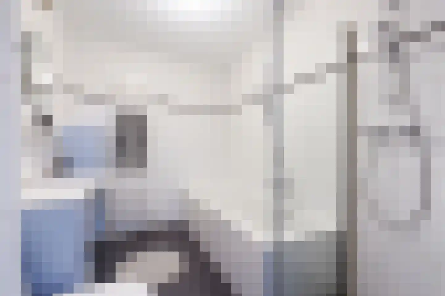 Laan van Van der Gaag 22 Delft thumbnail 6