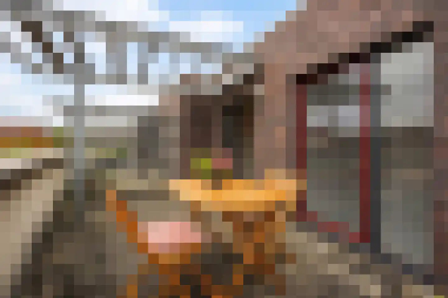 Laan van Van der Gaag 22 Delft thumbnail 8