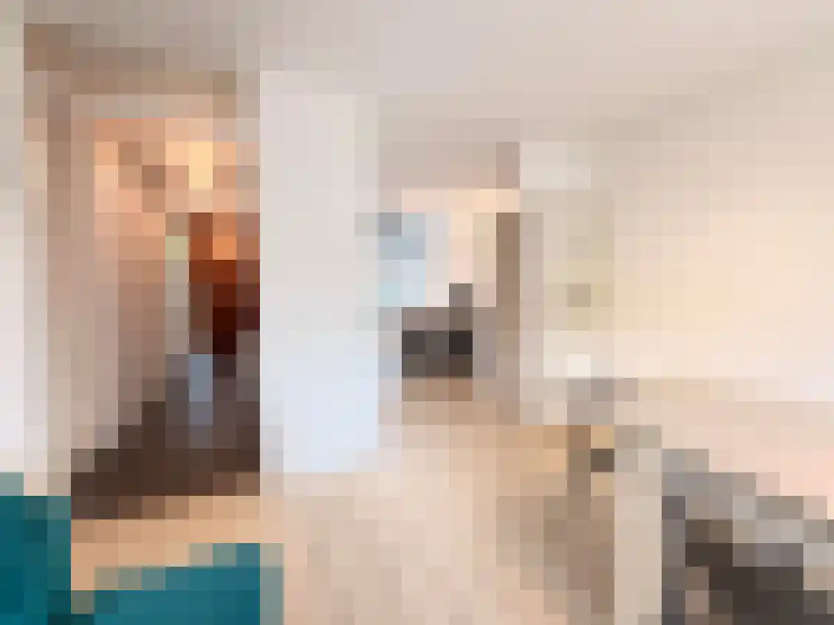 Laan van Van der Gaag 41 Delft thumbnail 6