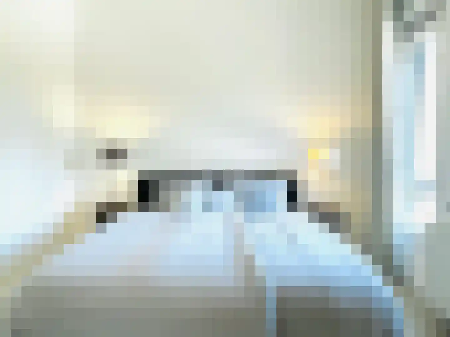 Laan van Van der Gaag 47 Delft thumbnail 15
