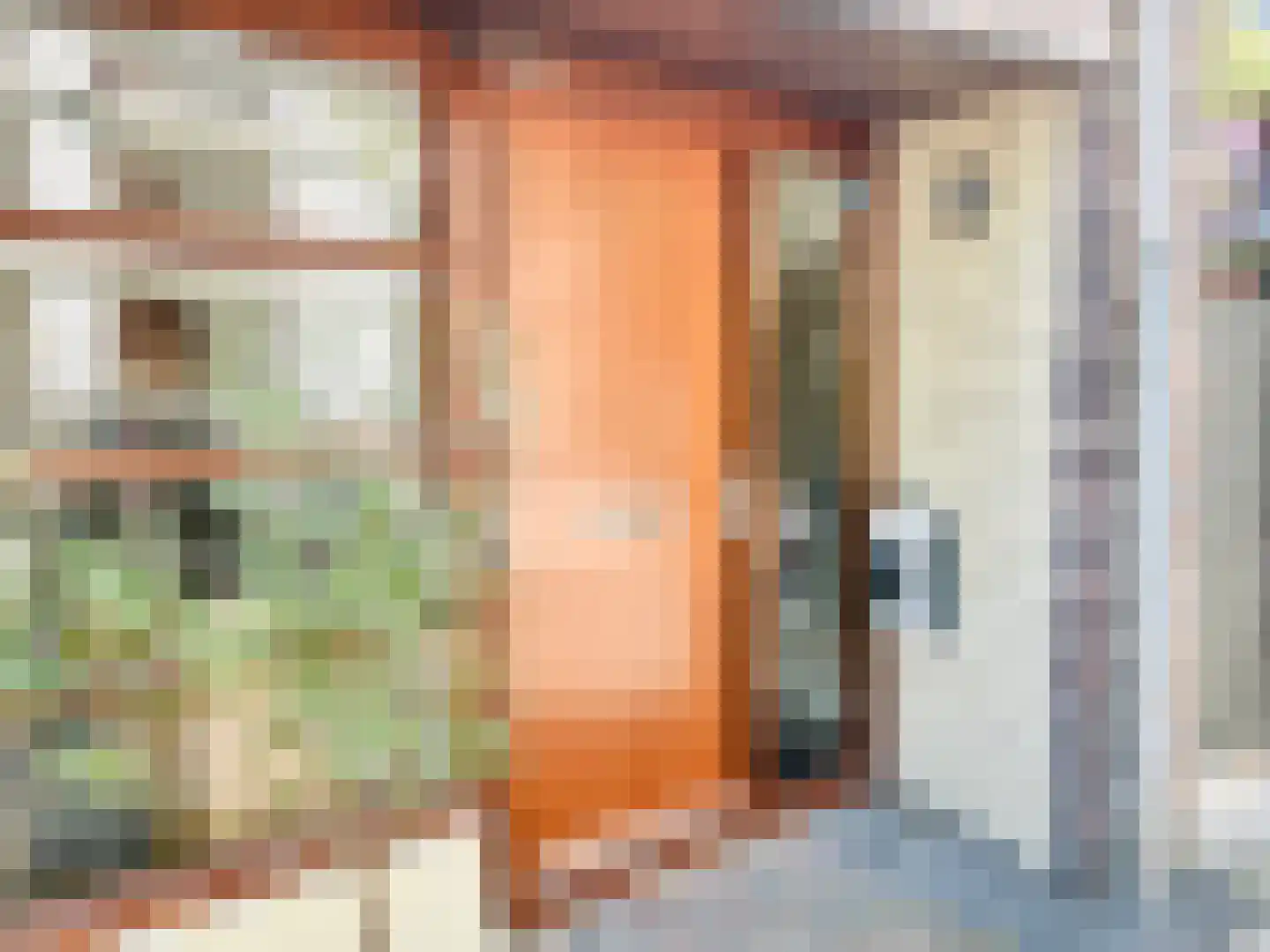 Laan van Van der Gaag 47 Delft thumbnail 26
