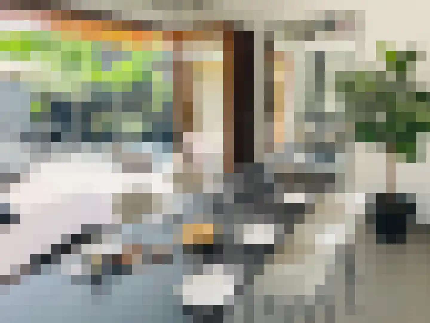 Laan van Van der Gaag 47 Delft thumbnail 8
