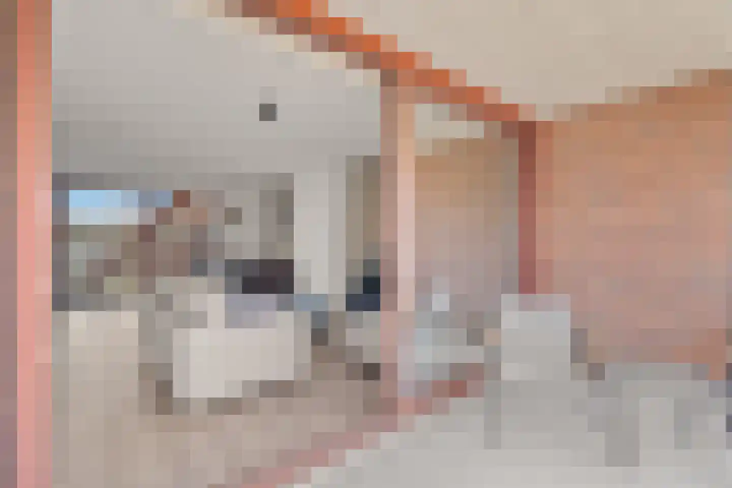 Laan van Verzetsstrijders 42 Utrecht thumbnail 37