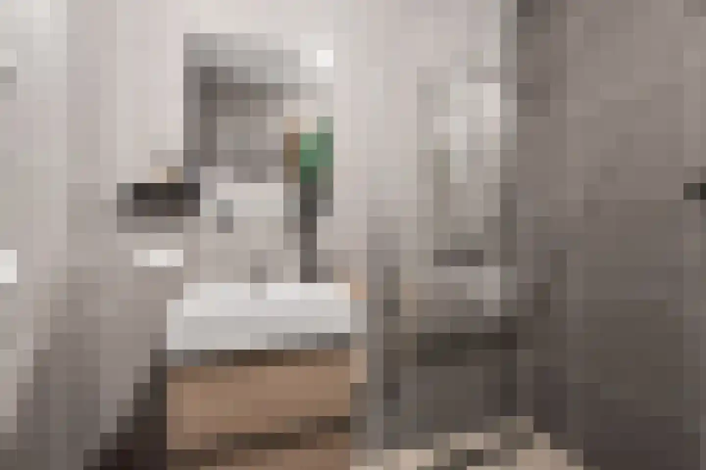 Laan van Verzetsstrijders 42 Utrecht thumbnail 48