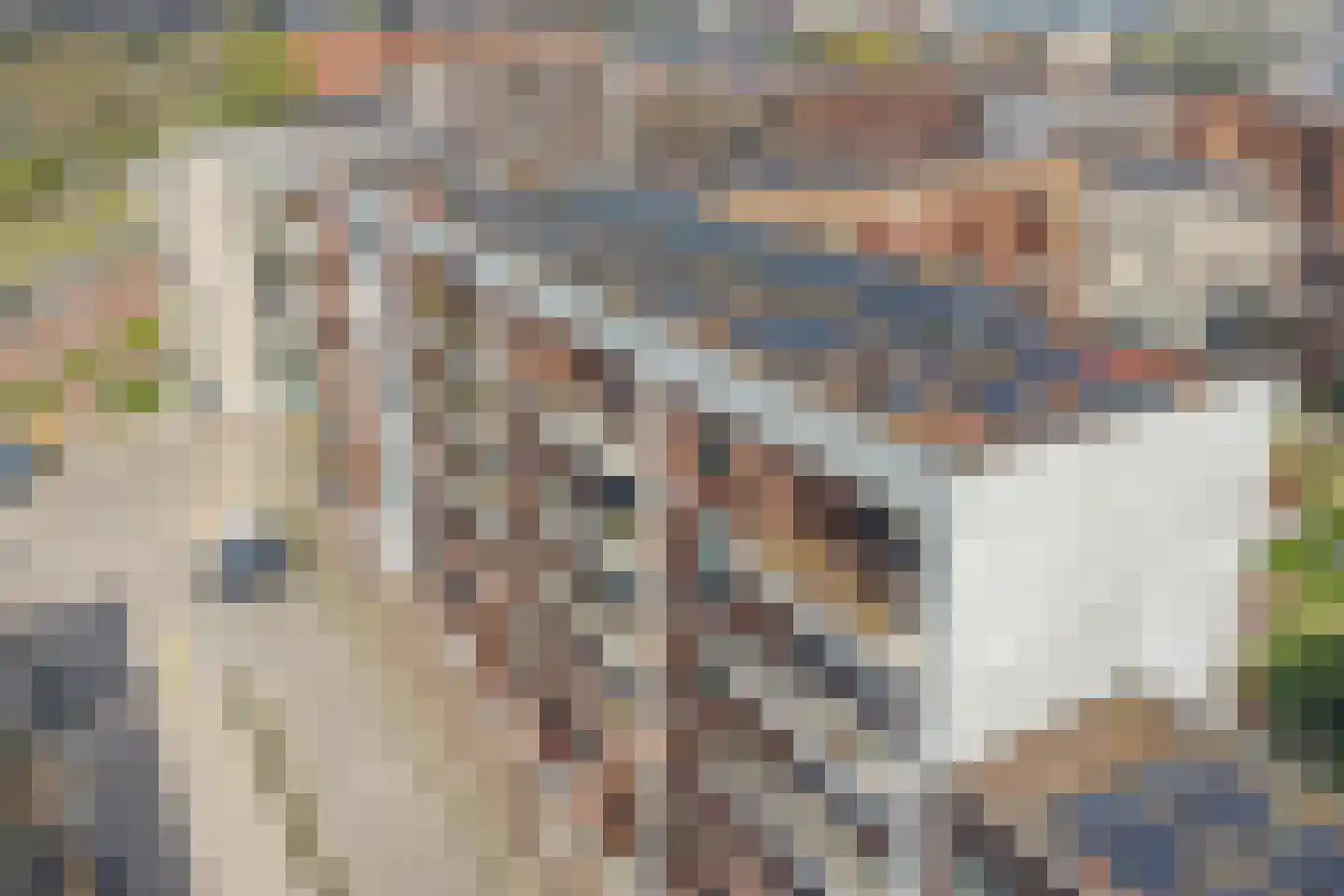 Laan van Verzetsstrijders 42 Utrecht thumbnail 56