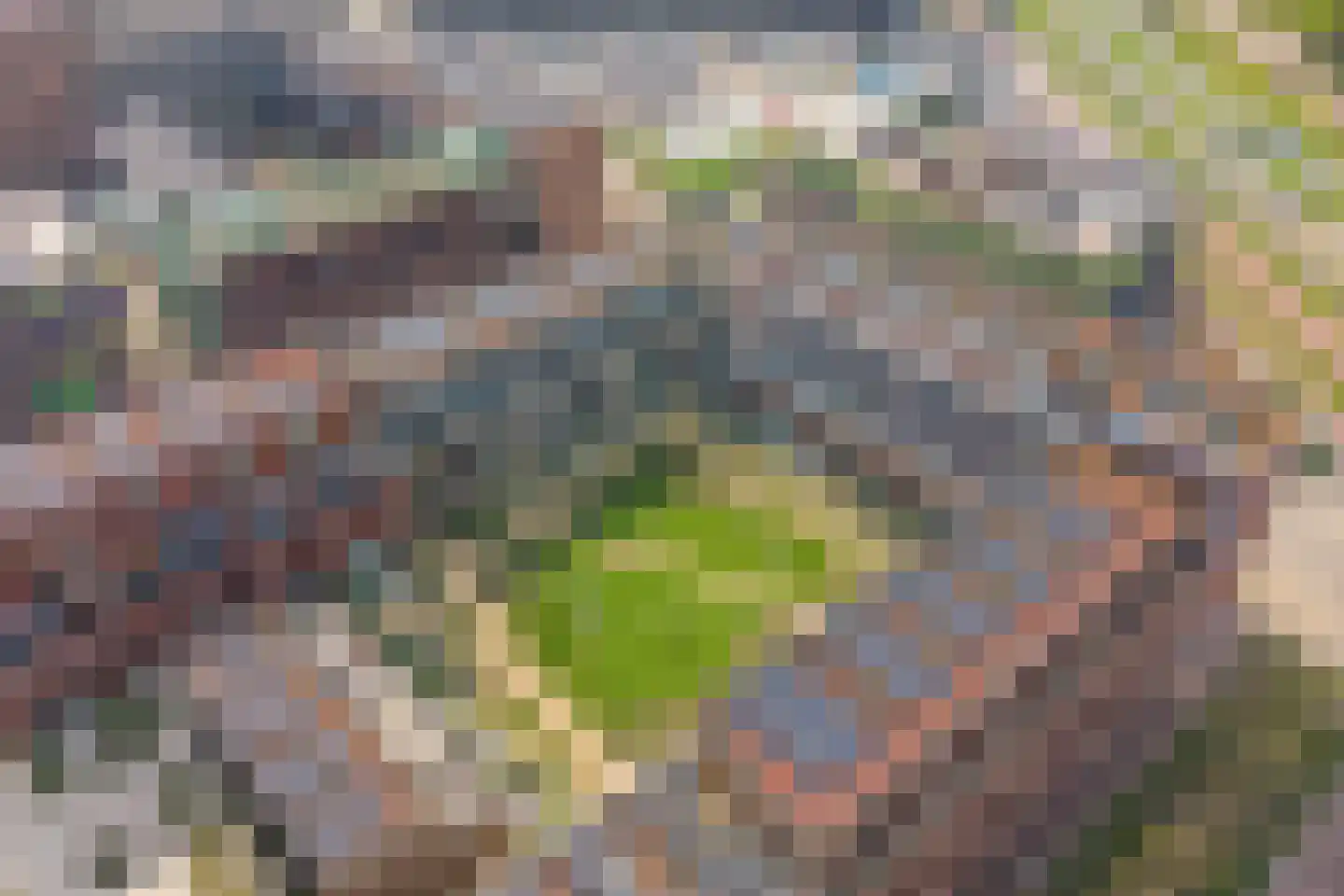 Laan van Verzetsstrijders 42 Utrecht thumbnail 58