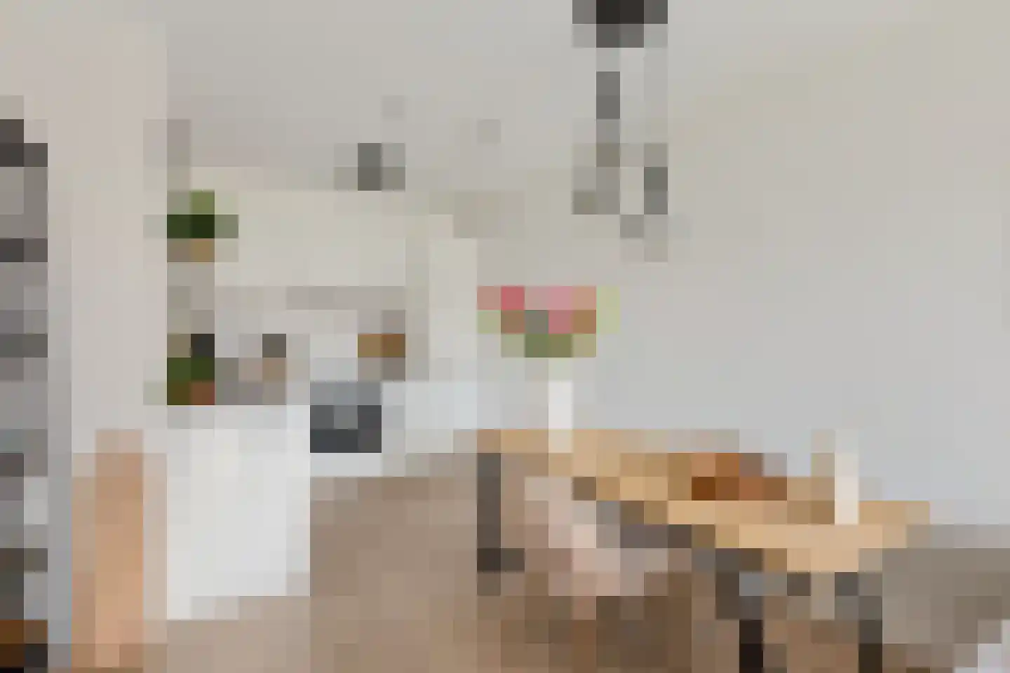 Laan van Verzetsstrijders 8 Utrecht thumbnail 12
