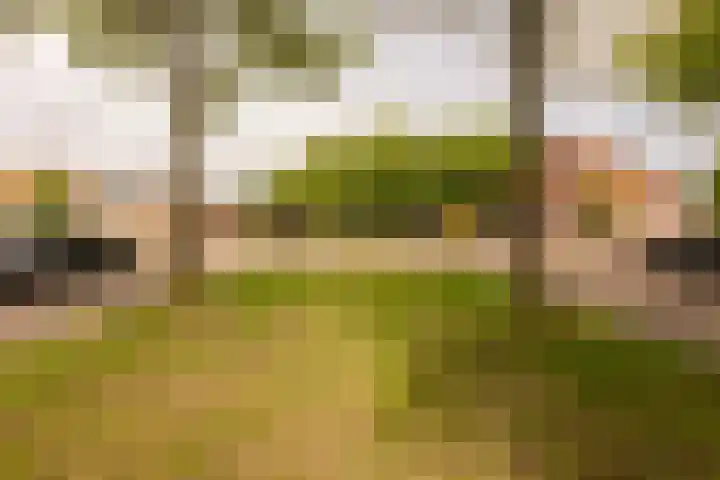 Laan van Vlaanderen 106 B Amsterdam thumbnail 19