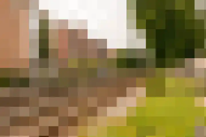 Laan van Vlaanderen 106 B Amsterdam thumbnail 20