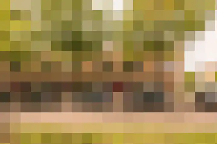 Laan van Vlaanderen 106 B Amsterdam thumbnail 4