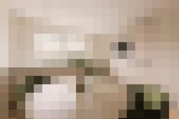 Laan van Vlaanderen 106 B Amsterdam thumbnail 6