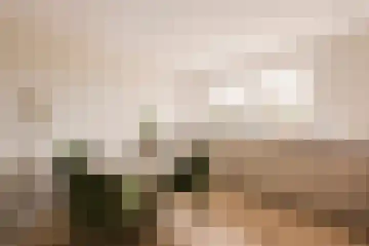 Laan van Vlaanderen 106 B Amsterdam thumbnail 7