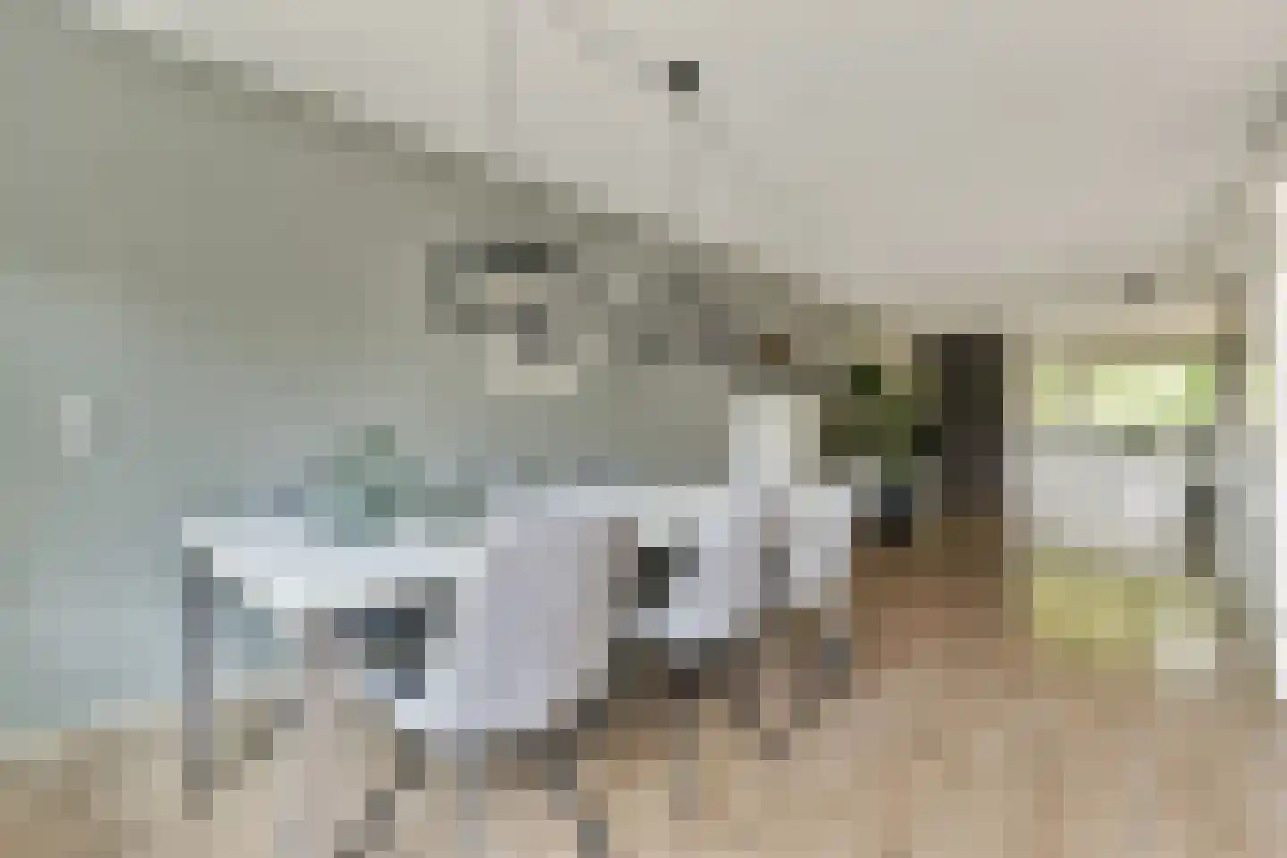 Laan van Vlaanderen 112 Amsterdam thumbnail 8