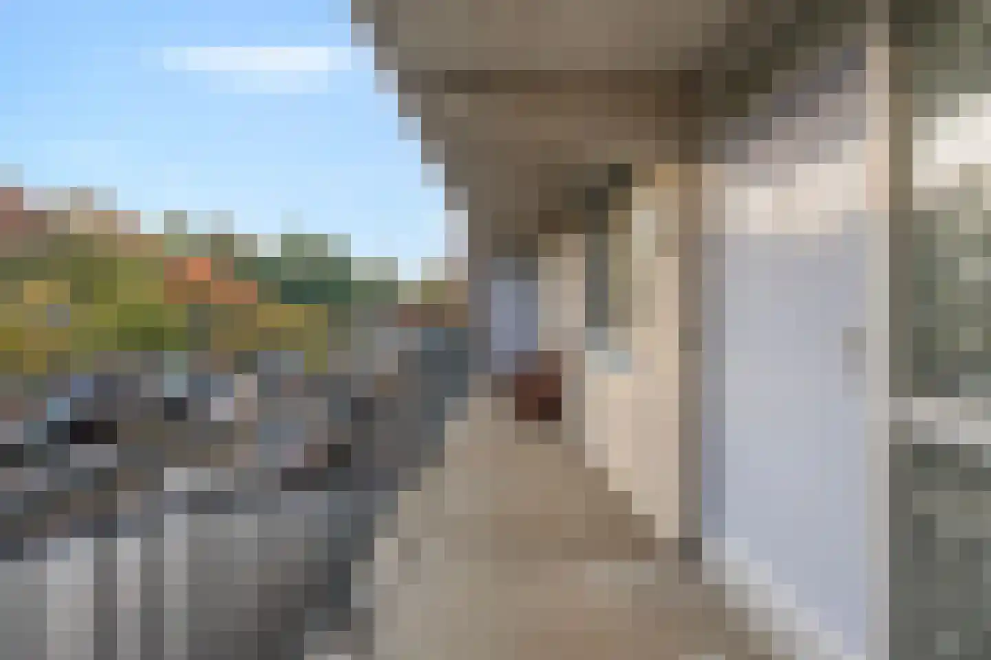 Laan van Vlaanderen 134 Amsterdam thumbnail 6