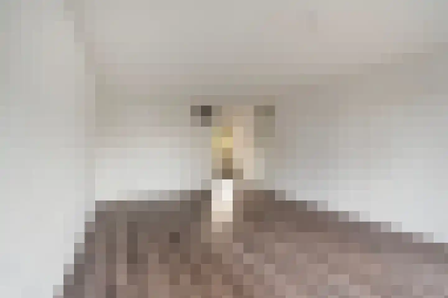 Laan van Vlaanderen 134 Amsterdam thumbnail 8