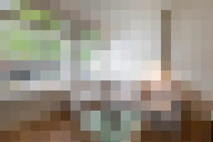 Laan van Vlaanderen 141 A 10 Amsterdam thumbnail 5