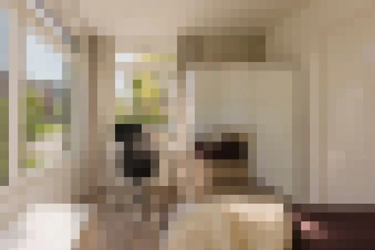 Laan van Vlaanderen 141 A 9 Amsterdam thumbnail 12